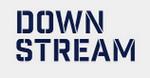 Downstream Beer