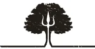 Poker Tree Brewery